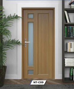 Cửa Nhựa Nam Tiến NT- C09