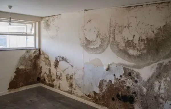 Bề mặt tường bị ẩm mốc bong tróc ảnh hưởng nghiêm trọng đến độ bền thi công tấm nhựa