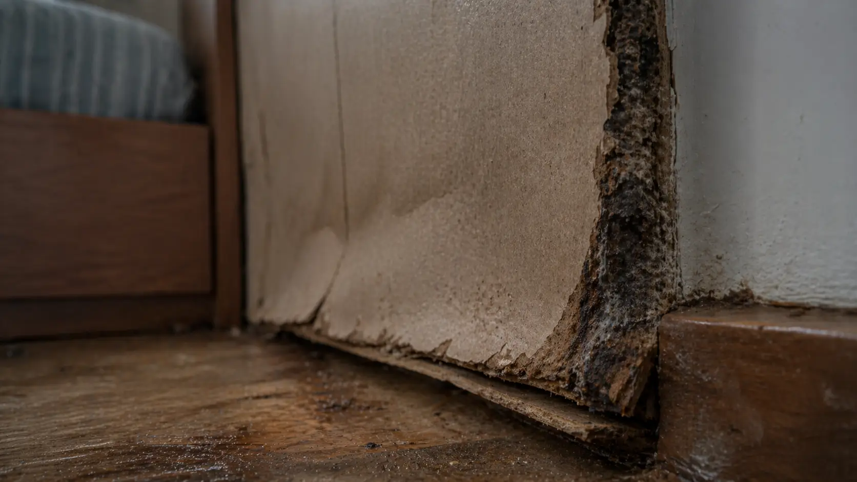 Gỗ công nghiệp dễ bề ẩm mốc trong thiết kế phòng ngủ kín