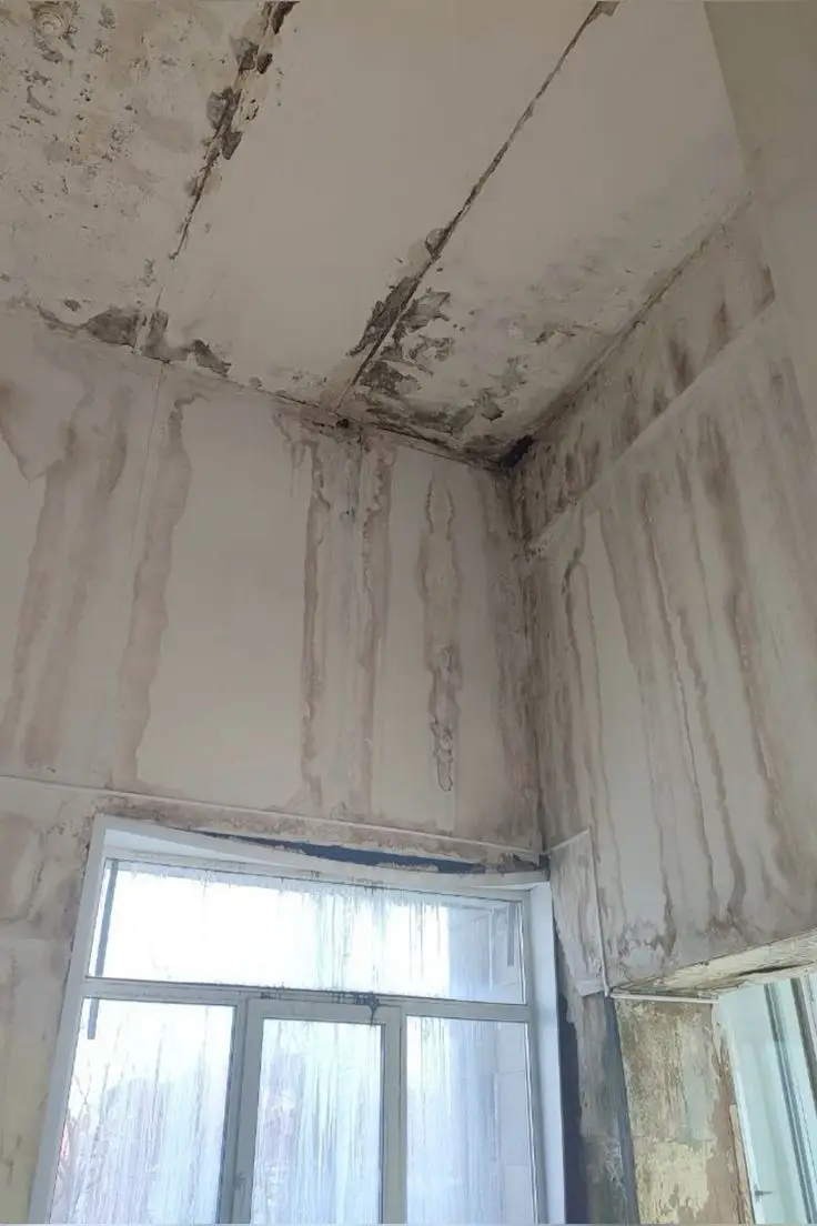 Hiện trạng tường bị ẩm mốc rộp vữa và bong tróc xốp dán tường
