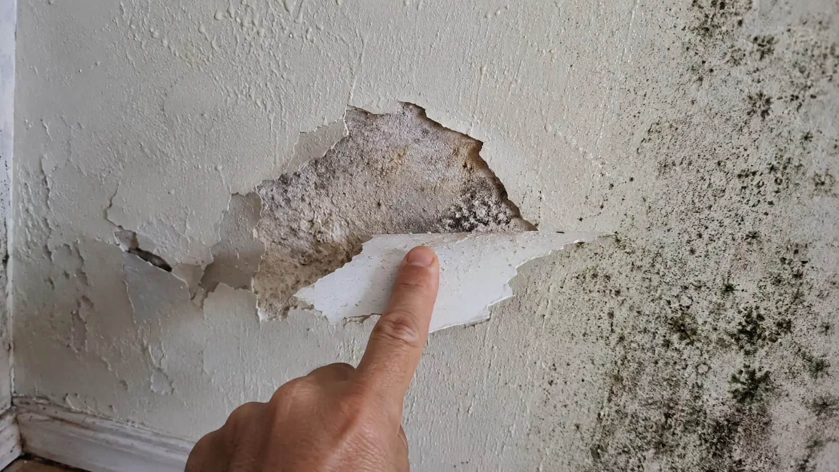 Kiểm tra tình trạng vữa mục và mốc đen trên tường cũ trước khi ốp