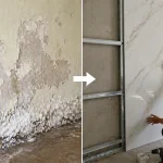 Tầm quan trọng của cách xử lý tường ẩm mốc trước khi ốp nhựa trong quá trình cải tạo nhà ở