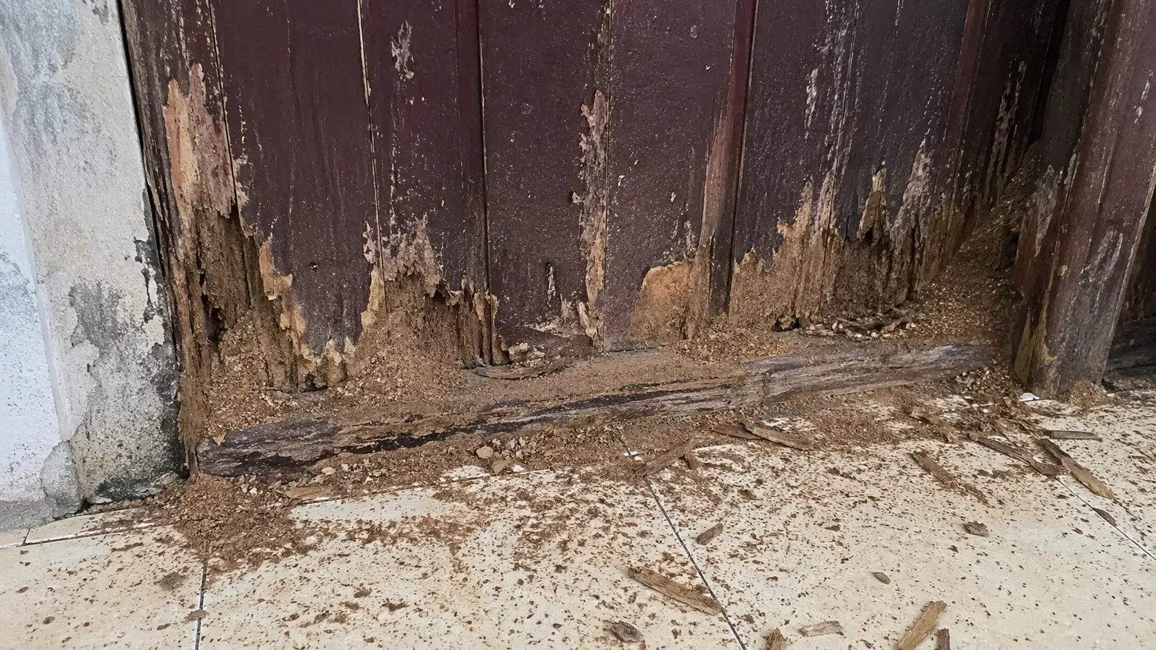 Tình trạng mối mọt ăn mòn tường gỗ và bong tróc vữa tại nhà phố