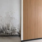 Cách trị dứt điểm mốc chân tường bằng tấm nhựa Nano
