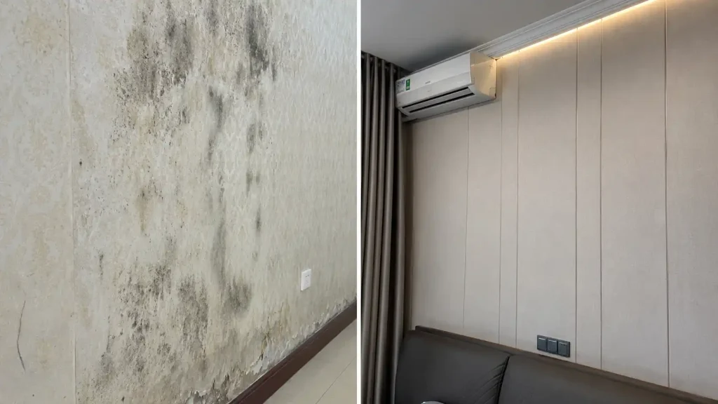 Cách xử lý giấy dán tường bị mốc bằng tấm nhựa Nano, giấy dán tường bị mốc xử lý thế nào