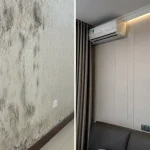 Cách xử lý giấy dán tường bị mốc bằng tấm nhựa Nano, giấy dán tường bị mốc xử lý thế nào