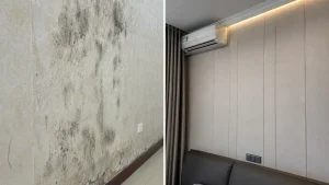 Cách xử lý giấy dán tường bị mốc bằng tấm nhựa Nano, giấy dán tường bị mốc xử lý thế nào