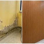 Giải pháp xử lý tường ẩm mốc bằng tấm ốp nhựa vân gỗ cao cấp, tường ẩm mốc nên dùng vật liệu gì