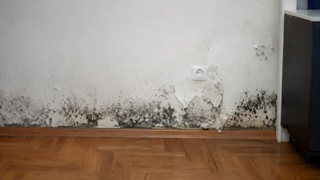 Mốc chân tường lan rộng gây bong tróc lớp sơn tường nhà, cách trị dứt điểm mốc chân tường