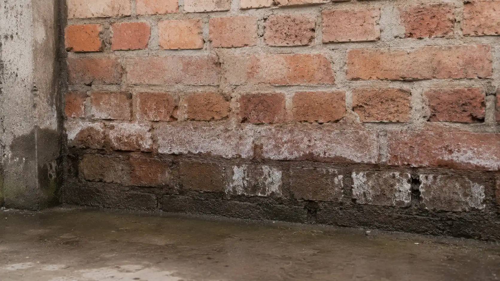 Thấm ngược mao dẫn từ móng đẩy nước lên gạch vữa chân tường