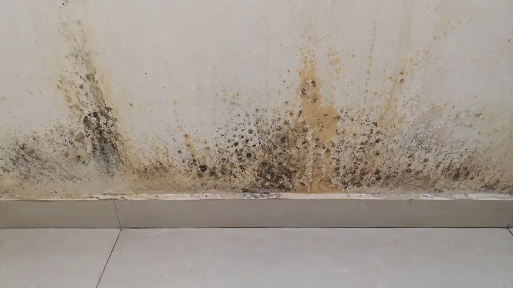 Tình trạng mốc chân tường do thấm ngược mao dẫn