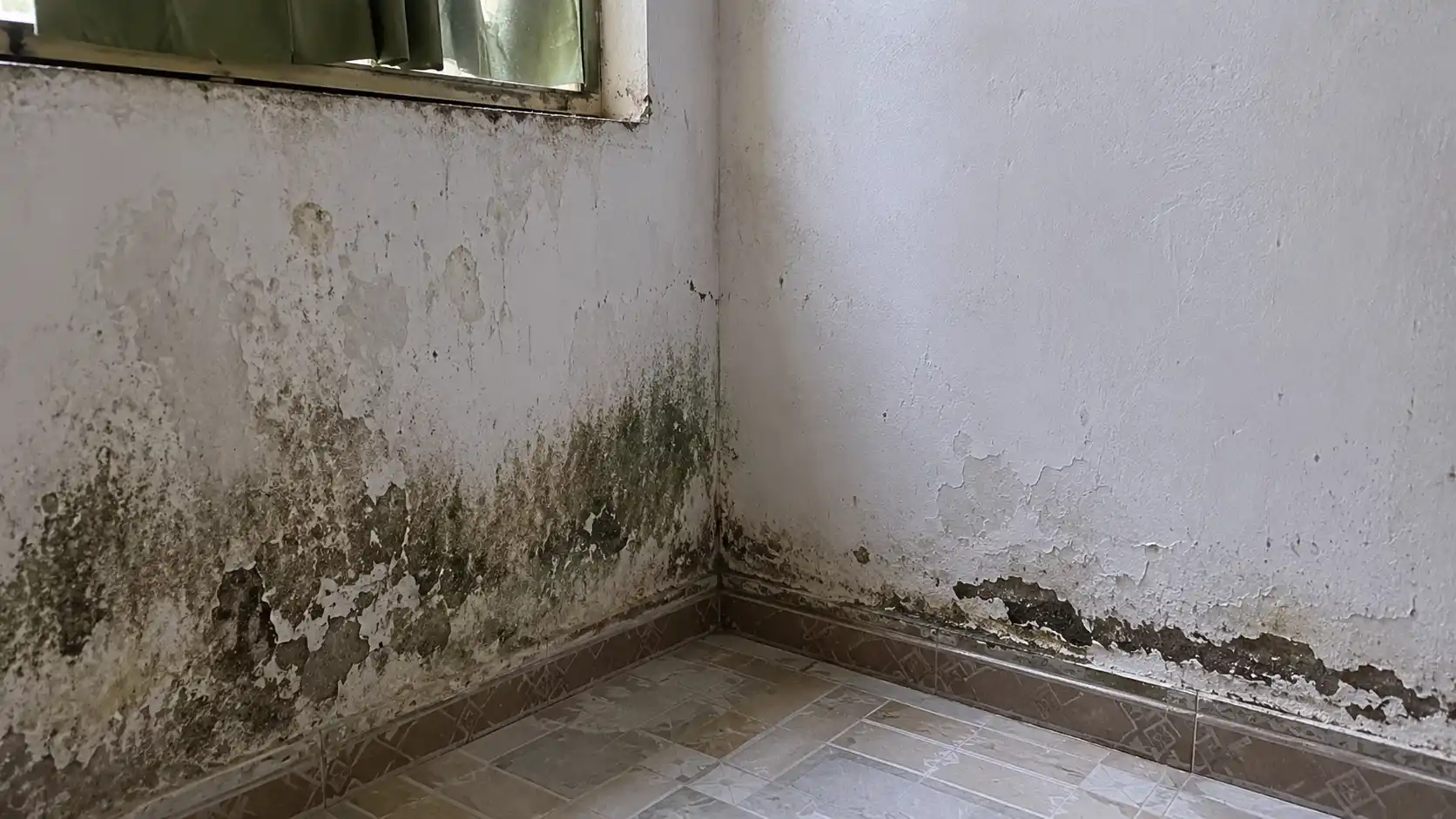 Tình trạng tường bị ẩm mốc tại các nhà vùng trũng Cần Thơ