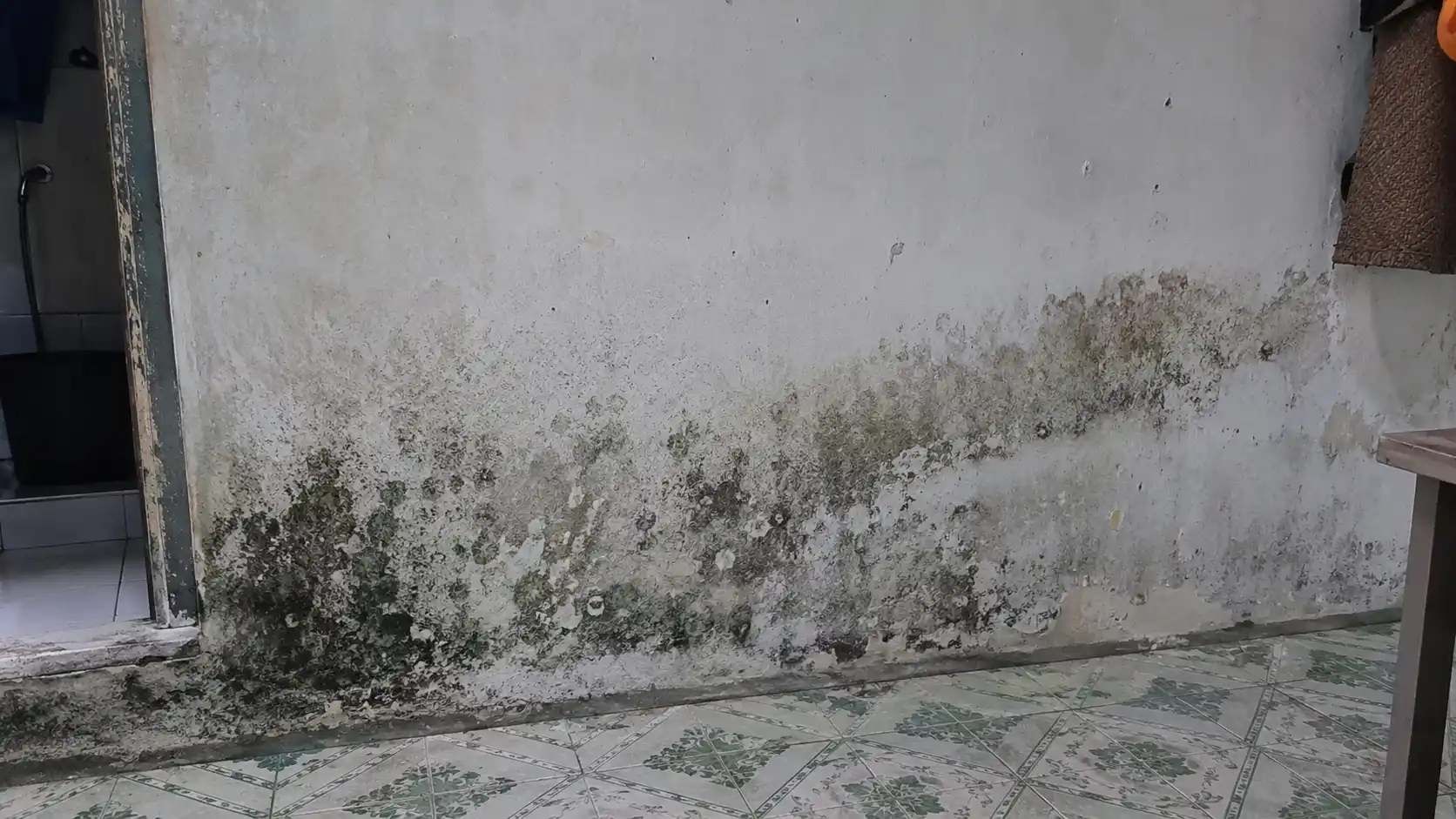 Tình trạng tường nhà bị ẩm mốc bong tróc thực tế