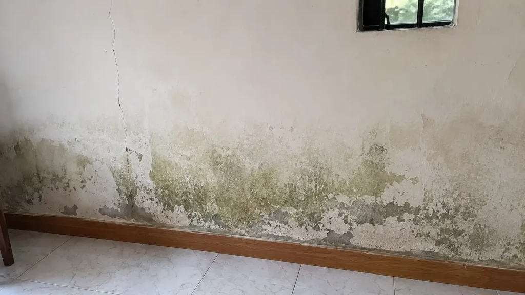 Tường nhà bị nứt nẻ loang lổ ẩm mốc bong tróc sơn, tường bị nứt thấm nước xử lý thế nào