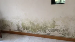 Tường nhà bị nứt nẻ loang lổ ẩm mốc bong tróc sơn, tường bị nứt thấm nước xử lý thế nào