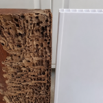 Vật liệu làm tủ bếp không bị mối mọt bền bỉ