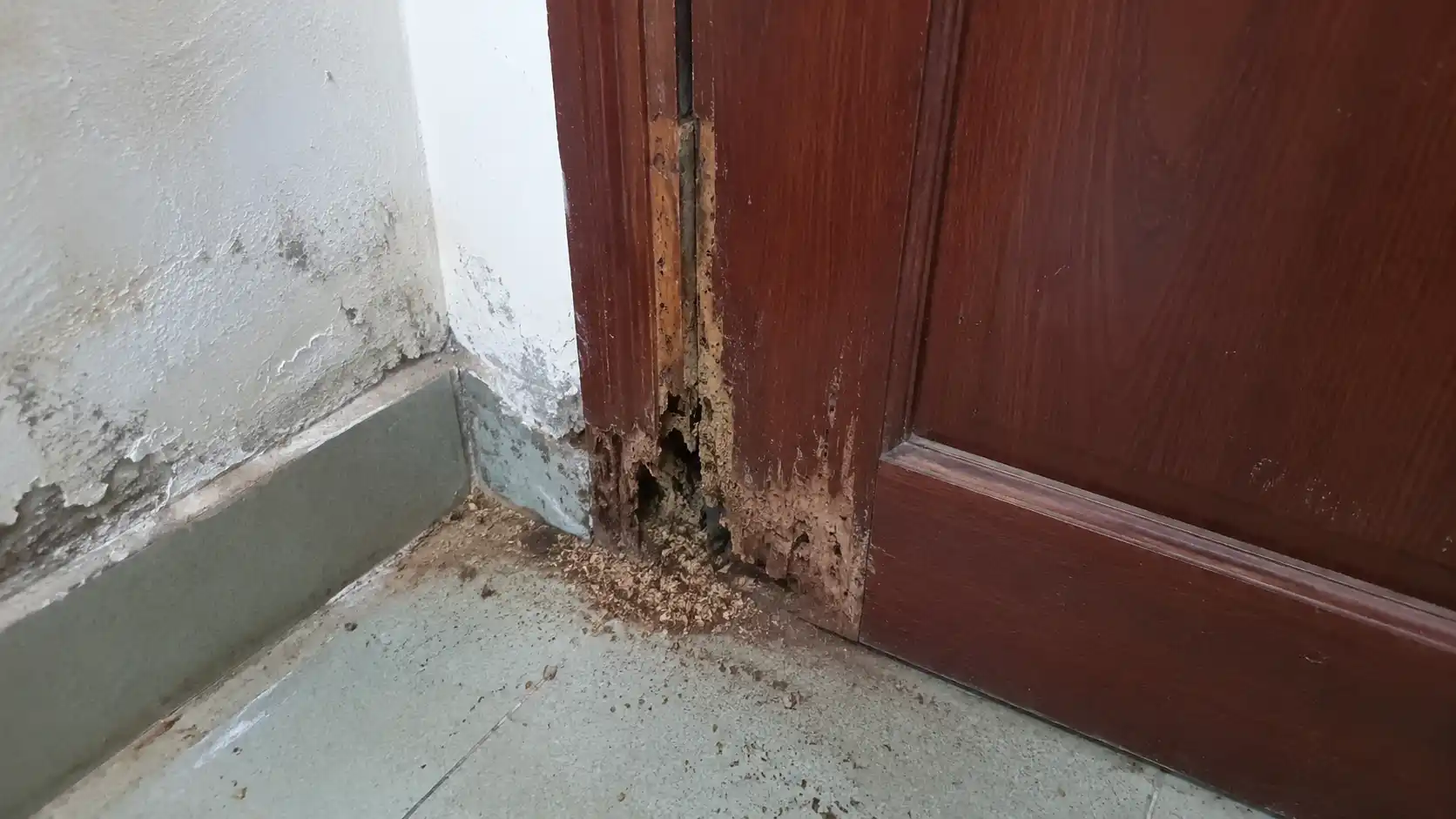 Cửa phòng ngủ bằng gỗ công nghiệp bị mối mọt đùn rỗng ruột gỗ