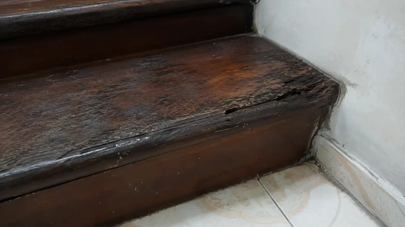 Mặt bậc cầu thang gỗ cũ bị ẩm mốc loang lổ nứt nẻ do thấm ẩm