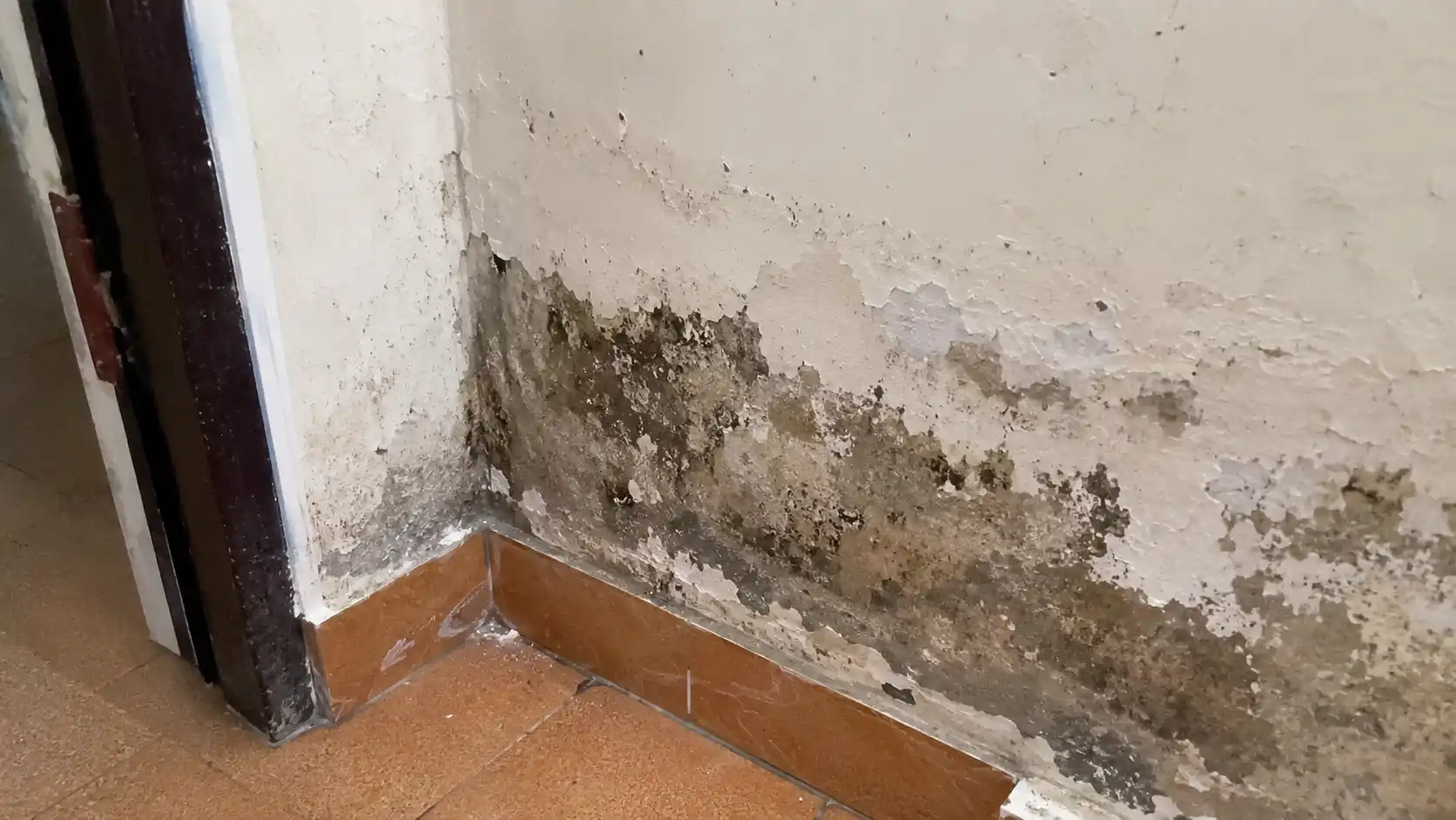 Tình trạng mảng tường nhà cũ bị ẩm mốc bong tróc sơn do thấm nước ngược