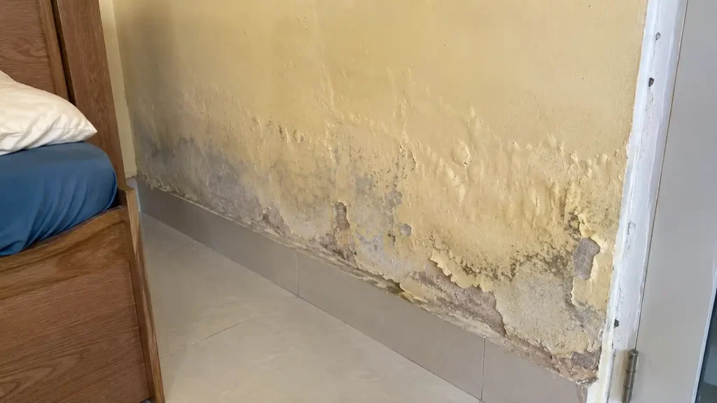 Tường nhà cũ bị thấm ẩm rêu mốc và bong tróc vôi vữa