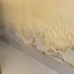 Tường nhà cũ bị thấm ẩm rêu mốc và bong tróc vôi vữa