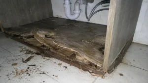 Khắc phục tủ lavabo mục chân bằng tấm nhựa nội thất Cần Thơ