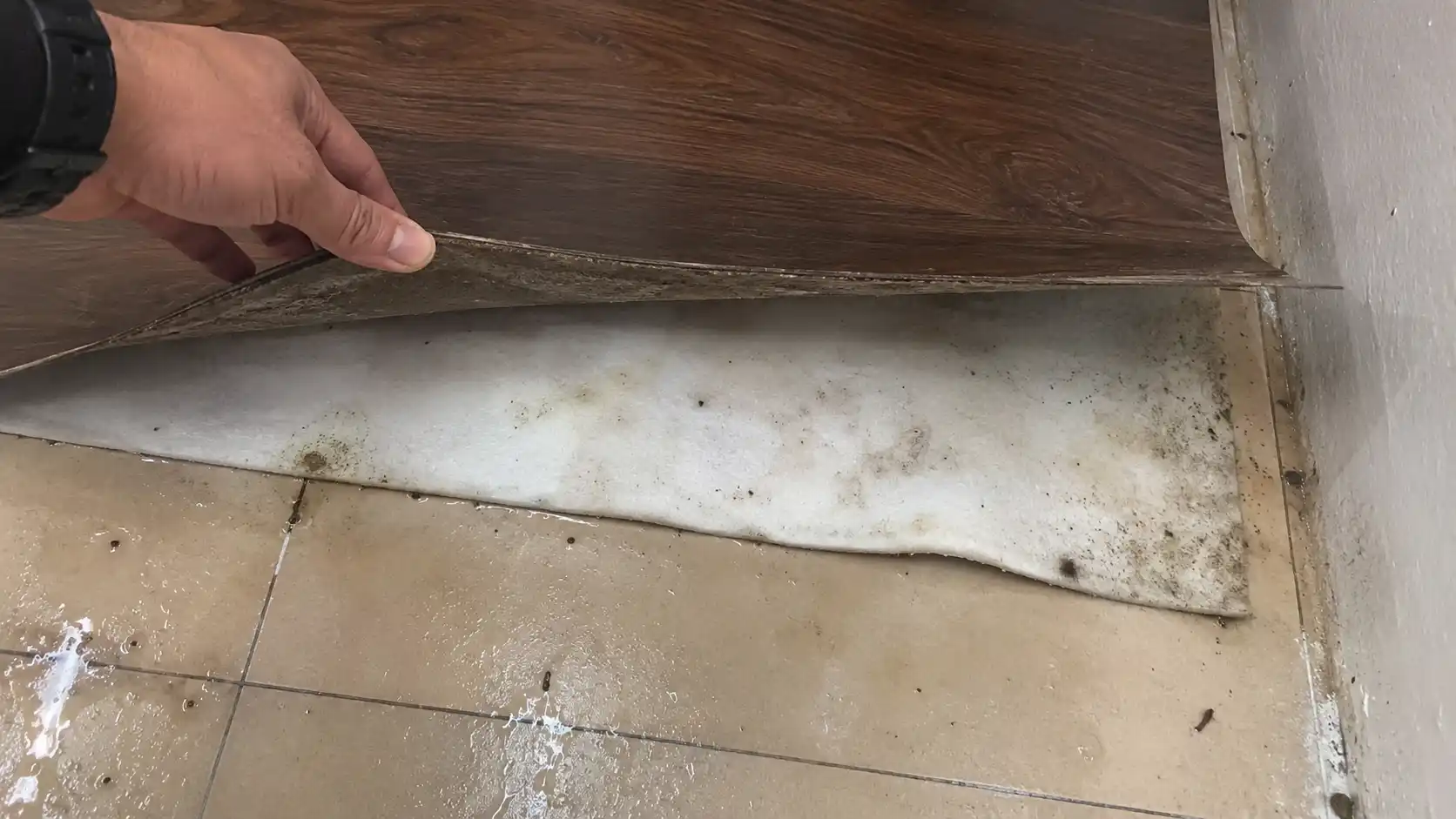 Lớp xốp lót màng PE ngậm nước gây nấm mốc gầm sàn