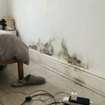 Tác hại của tường ẩm mốc đen lâu năm trong phòng ngủ