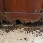 Tình trạng cửa gỗ bị mục chân tại khu vực ven biển, cửa nhựa composite miền tây