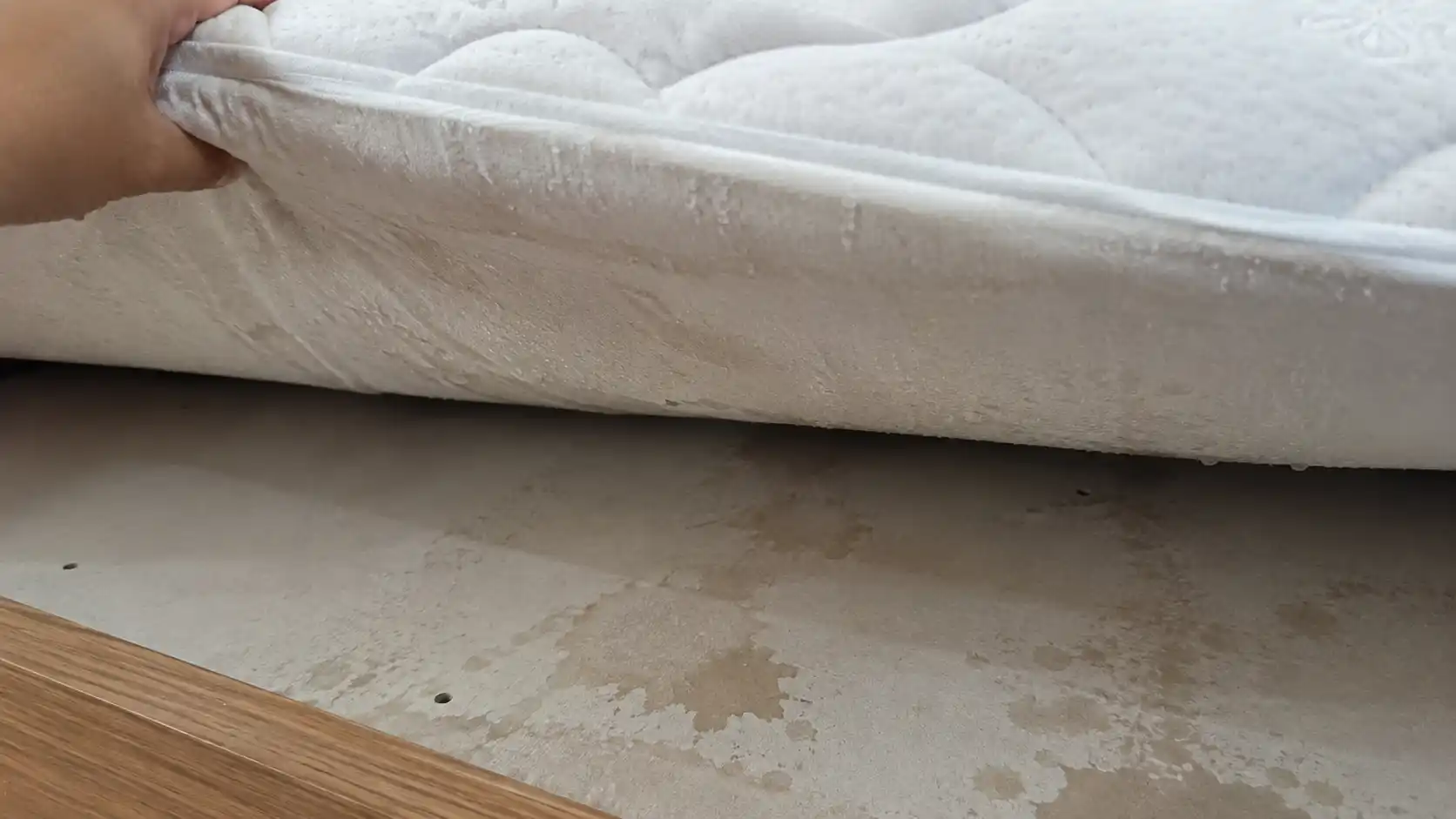 Tại sao đệm bị mốc mặt dưới do hiện tượng ngưng tụ hơi ấm cơ thể