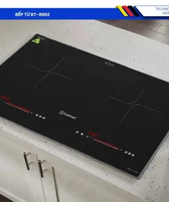 Bếp Từ BT-8002