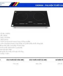 Bếp Từ BT-8001