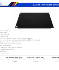 Bếp Từ BT-8002