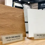 nên làm trần nhựa nano hay trần thạch cao