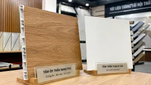 nên làm trần nhựa nano hay trần thạch cao